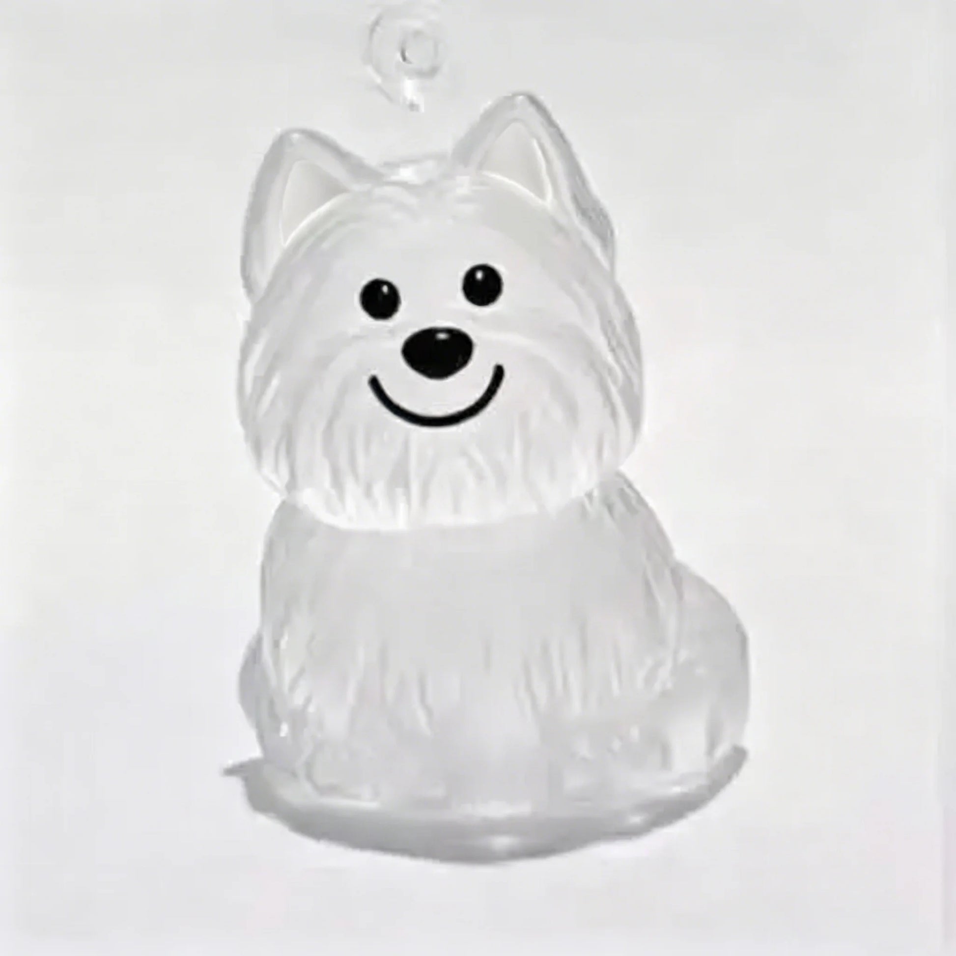 Transparent Dog Hair Storage Container Adorable Pet Keepsake Capsule Pendant with Key Ring for Pet Lovers DIY Memorial Keychain